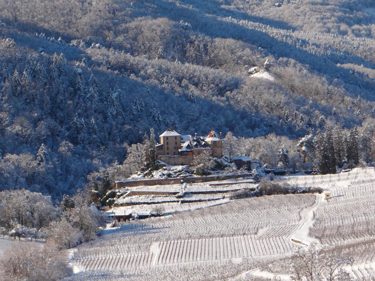 Au Coeur Des Vignes Lejlighed Bergheim Eksteriør billede