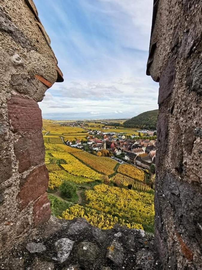 Au Coeur Des Vignes Lejlighed Bergheim Eksteriør billede