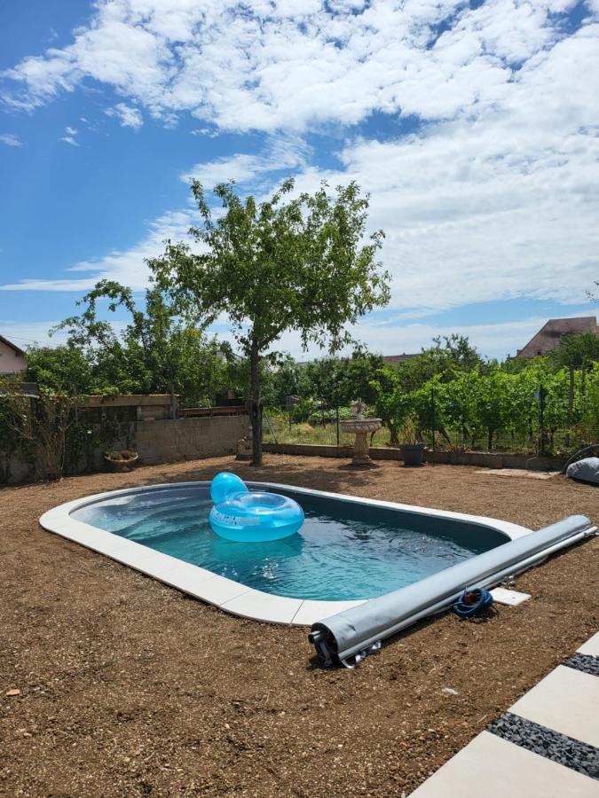Au Coeur Des Vignes Lejlighed Bergheim Eksteriør billede